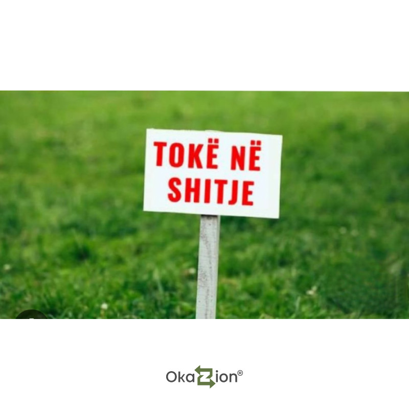 Shitet Toke ne Vishaj,Tirane