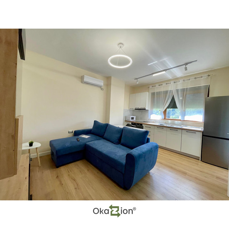 Apartament 1+1+Parking per qira prane Credins tek Ali Demi.