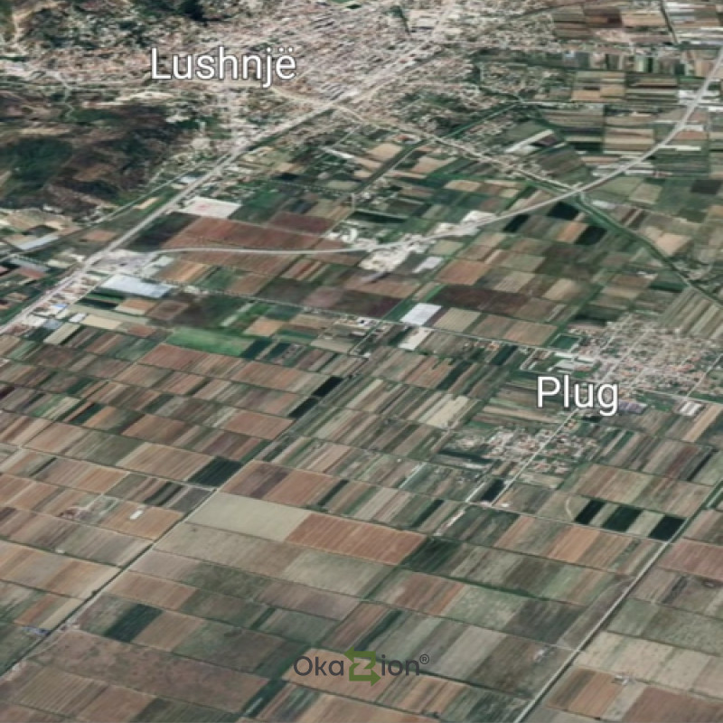 Shitet tokë Lushnje (Plug)