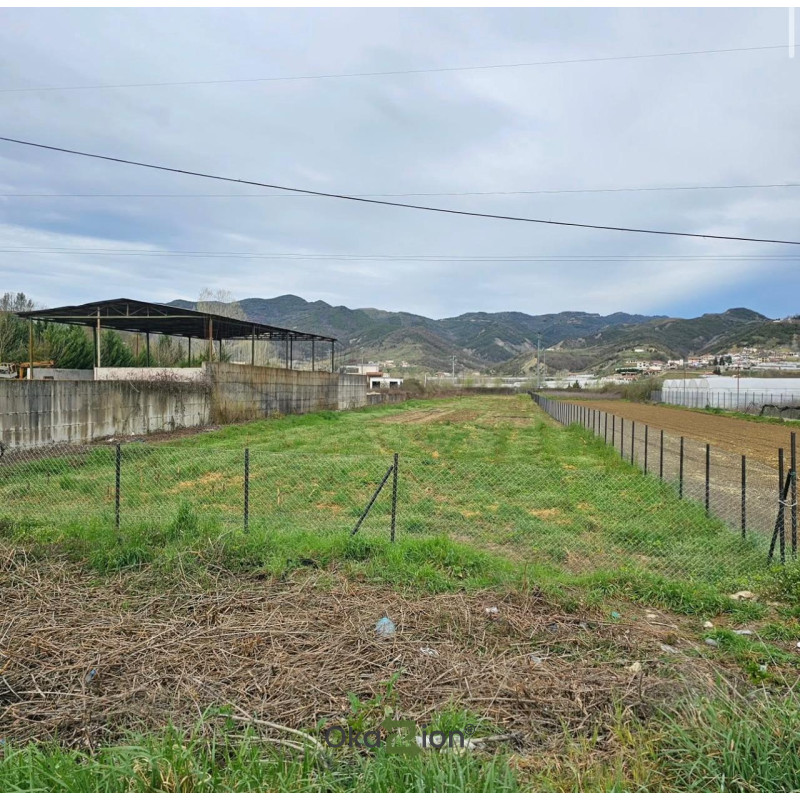 Tokë në shitje / qera në zonën e kërkuar Pezë Helmes ,Tiranë