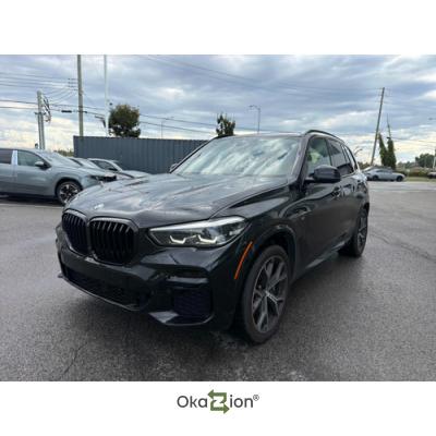 Shitet BMW X5 M530i