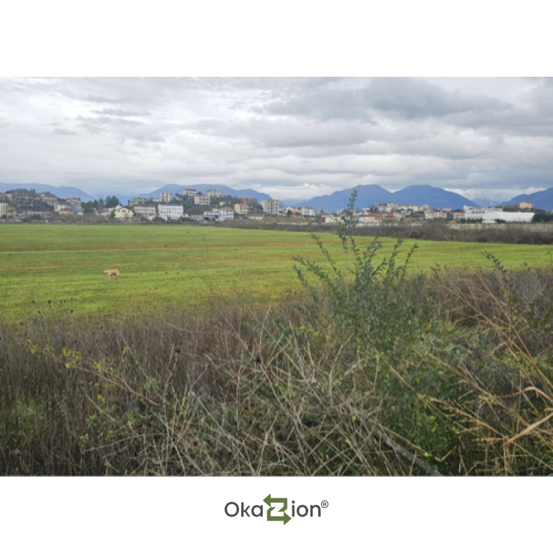 Shitet toke Autostrada (Tirane - Durres) thumbnail 3